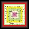Ghazal tere naam 01 * 22.03.2008 * 474 x 399 * (31KB)